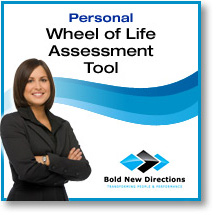 Personal Wheel Of Life Assessment Personal Wheel Of Life Assessment