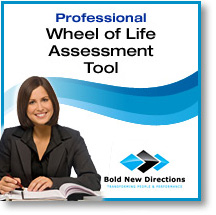 Professional Wheel of Life Assessment Professional Wheel of Life Assessment